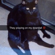 DerpyCatman