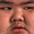 TheDoughyBoy